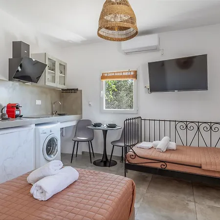Kleris 9 Tinos Apartmán *